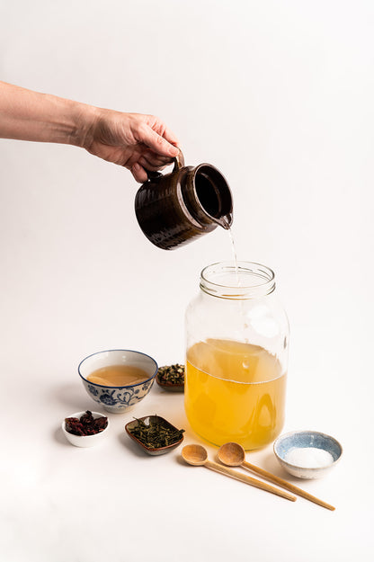 Kombucha Starter Kit