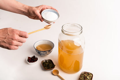 Kombucha Starter Kit